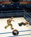 game pic for WWE Smackdown 2010